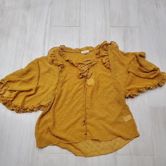 Three Bird Nest Tops - Easel Wide-Sleeved Sheer Blouse